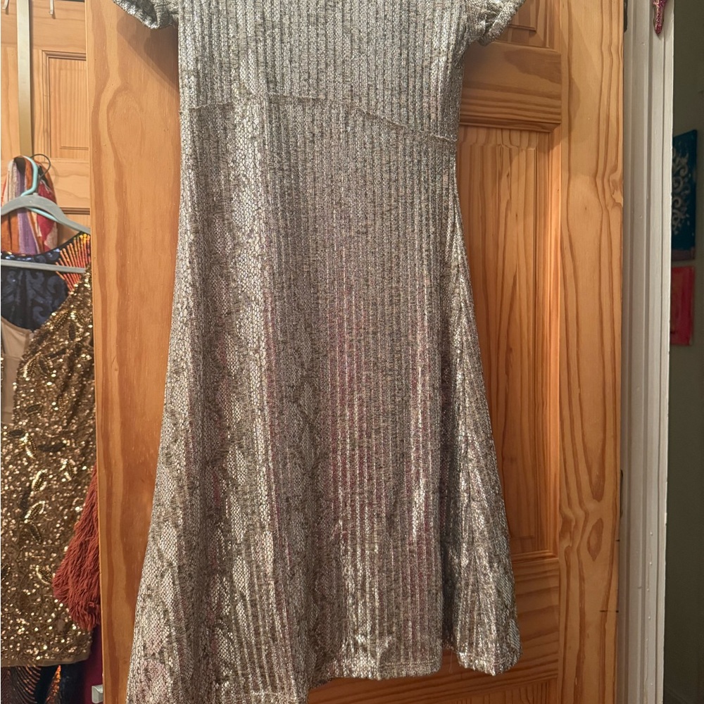 Silver Mini Dress